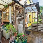 Inhabitable Museum In Wismar With Garden