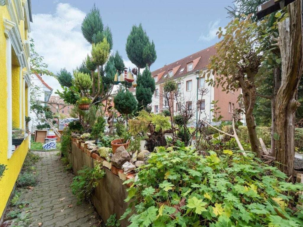 Ferienhaus Inhabitable Museum In With Garden