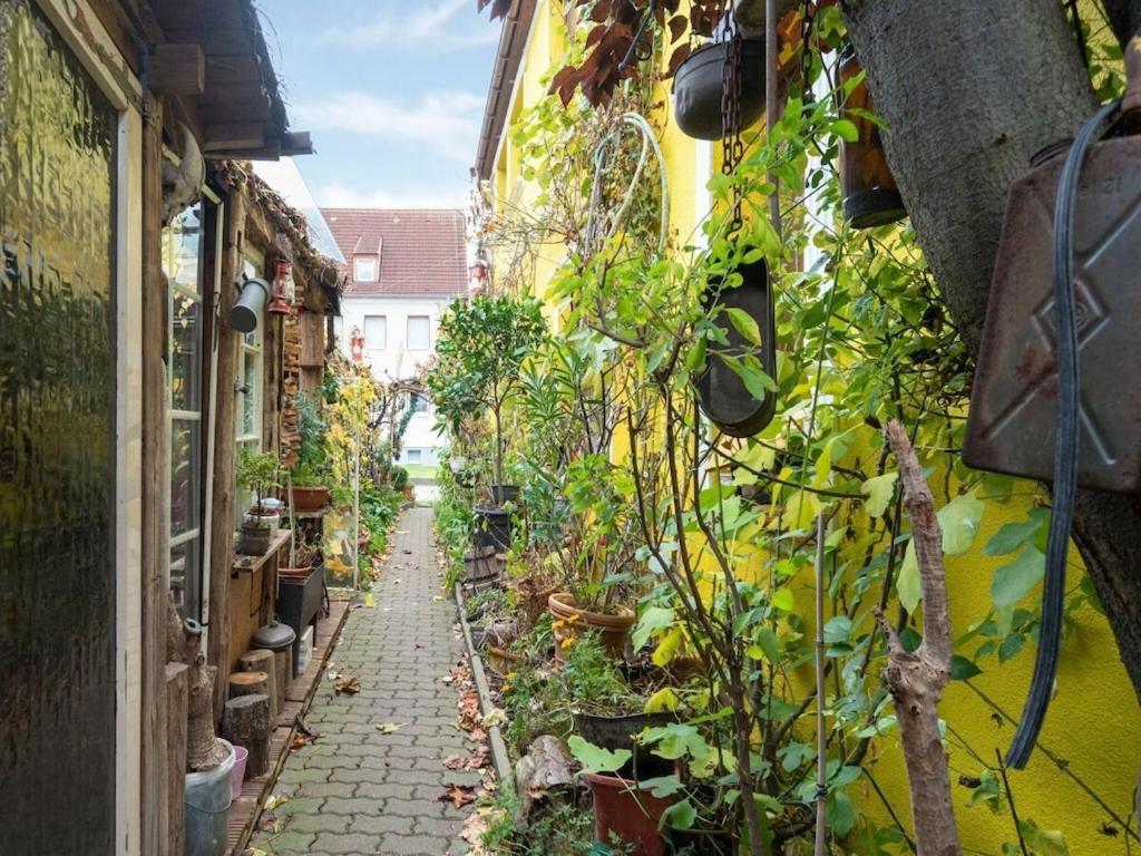 Inhabitable Museum In With Garden *