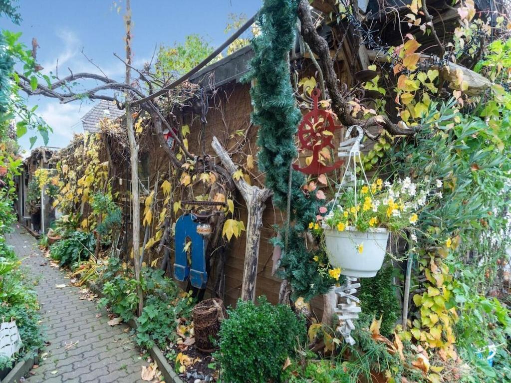 Ferienhaus Inhabitable Museum In With Garden